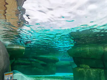 天王寺動物園に投稿された画像（2026/4/26）