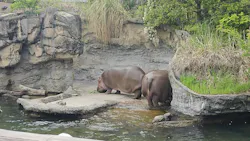 天王寺動物園に投稿された画像（2026/4/26）