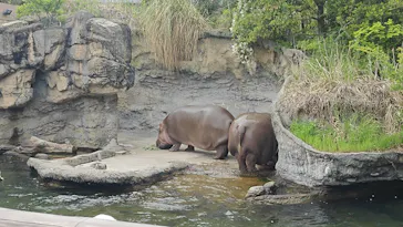 天王寺動物園に投稿された画像（2026/4/26）
