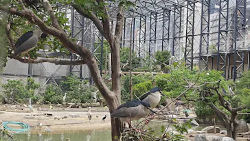 天王寺動物園に投稿された画像（2026/4/26）