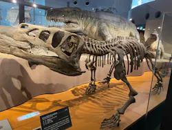 福井県立恐竜博物館に投稿された画像（2026/4/26）