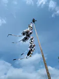 まかいの牧場に投稿された画像（2026/4/26）