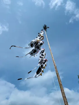 まかいの牧場に投稿された画像（2026/4/26）