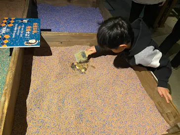 動き出す妖怪展 TOKYO 〜Imagination of Japan〜に投稿された画像（2026/4/26）