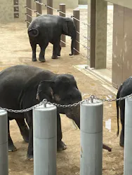 天王寺動物園に投稿された画像（2026/4/26）