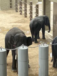 天王寺動物園に投稿された画像（2026/4/26）