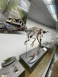 福井県立恐竜博物館に投稿された画像（2026/4/26）