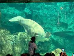 名古屋港水族館に投稿された画像（2026/4/26）