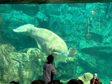 名古屋港水族館に投稿された画像（2026/4/26）