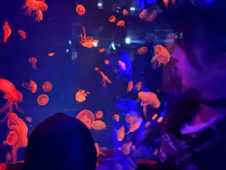 名古屋港水族館に投稿された画像（2026/4/26）