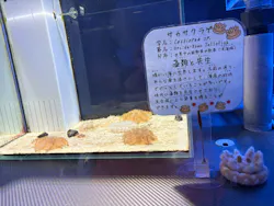 名古屋港水族館に投稿された画像（2026/4/26）