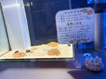 名古屋港水族館に投稿された画像（2026/4/26）