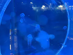 名古屋港水族館に投稿された画像（2026/4/26）