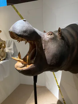 特別展「超危険生物展　科学で挑む生き物の本気」に投稿された画像（2026/4/26）