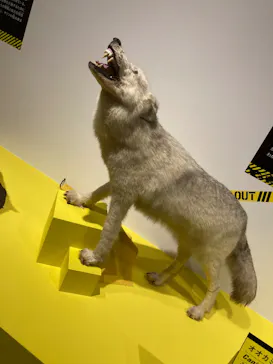 特別展「超危険生物展　科学で挑む生き物の本気」に投稿された画像（2026/4/26）