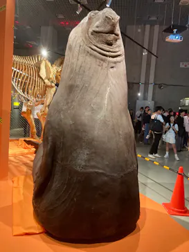 特別展「超危険生物展　科学で挑む生き物の本気」に投稿された画像（2026/4/26）