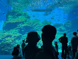 仙台うみの杜水族館に投稿された画像（2026/4/26）