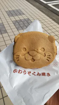 ゼロ距離水族館 伊勢シーパラダイスに投稿された画像（2026/4/26）