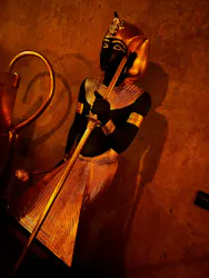 MYSTERY OF TUTANKHAMEN 体感型古代エジプト展に投稿された画像（2026/4/26）