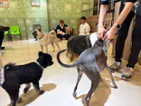 Moff animal world BIGHOPガーデンモール印西店に投稿された画像（2026/4/26）