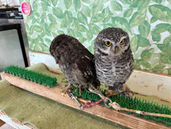 Moff animal world BIGHOPガーデンモール印西店に投稿された画像（2026/4/26）