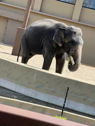 天王寺動物園に投稿された画像（2026/4/26）