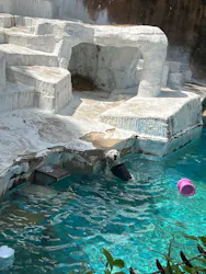 天王寺動物園に投稿された画像（2026/4/26）