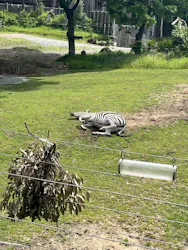 天王寺動物園に投稿された画像（2026/4/26）