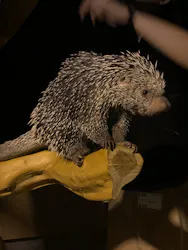 カワスイ 川崎⽔族館に投稿された画像（2026/4/26）