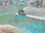 京都鉄道博物館×京都水族館に投稿された画像（2026/4/26）