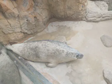 京都鉄道博物館×京都水族館に投稿された画像（2026/4/26）