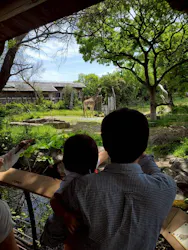 天王寺動物園に投稿された画像（2026/4/26）