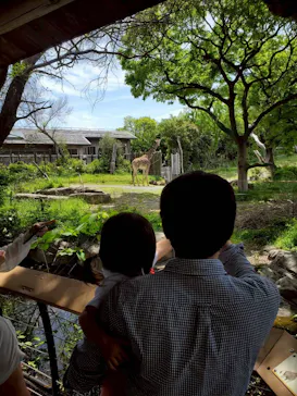 天王寺動物園に投稿された画像（2026/4/26）