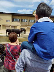 天王寺動物園に投稿された画像（2026/4/26）