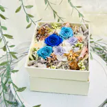 ずこうしつ〜sugamo〜に投稿された画像（2026/4/27）