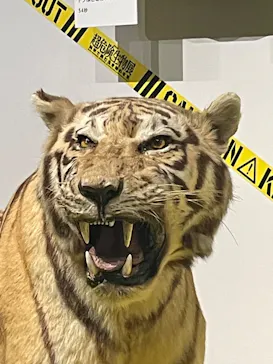 特別展「超危険生物展　科学で挑む生き物の本気」に投稿された画像（2026/4/26）