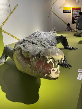 特別展「超危険生物展　科学で挑む生き物の本気」に投稿された画像（2026/4/26）