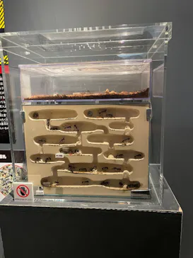 特別展「超危険生物展　科学で挑む生き物の本気」に投稿された画像（2026/4/26）
