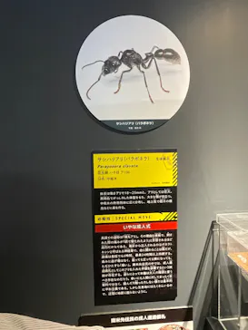 特別展「超危険生物展　科学で挑む生き物の本気」に投稿された画像（2026/4/26）