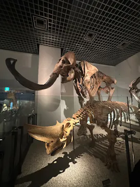 特別展「超危険生物展　科学で挑む生き物の本気」に投稿された画像（2026/4/26）