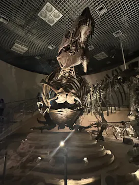 特別展「超危険生物展　科学で挑む生き物の本気」に投稿された画像（2026/4/26）