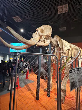 特別展「超危険生物展　科学で挑む生き物の本気」に投稿された画像（2026/4/26）
