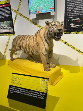特別展「超危険生物展　科学で挑む生き物の本気」に投稿された画像（2026/4/26）