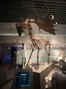 特別展「超危険生物展　科学で挑む生き物の本気」に投稿された画像（2026/4/26）