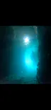 武藤潜水に投稿された画像（2026/4/27）