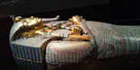 MYSTERY OF TUTANKHAMEN 体感型古代エジプト展に投稿された画像（2026/4/27）