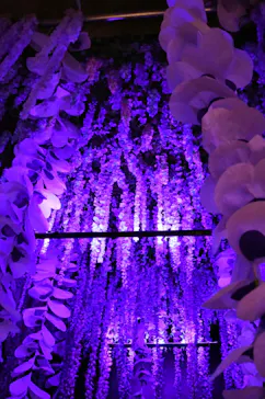 動き出す妖怪展 TOKYO 〜Imagination of Japan〜に投稿された画像（2026/4/27）