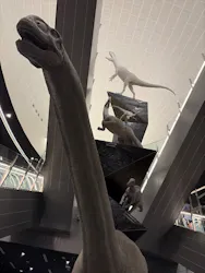 福井県立恐竜博物館に投稿された画像（2026/4/27）