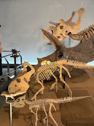 福井県立恐竜博物館に投稿された画像（2026/4/27）
