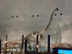 福井県立恐竜博物館に投稿された画像（2026/4/27）